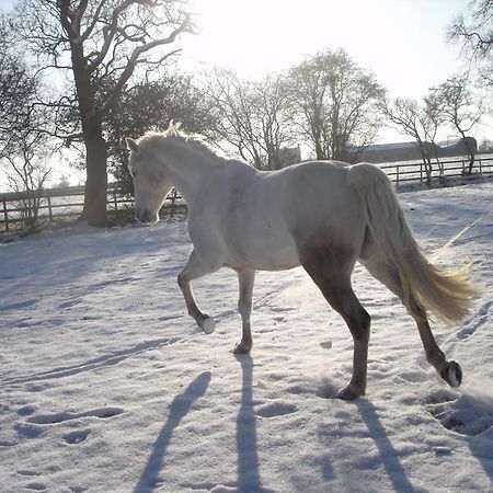 The Jockey Room Hideaway Spurstow المظهر الخارجي الصورة