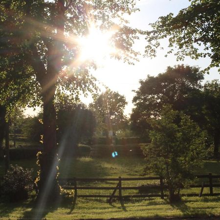 The Jockey Room Hideaway Spurstow المظهر الخارجي الصورة