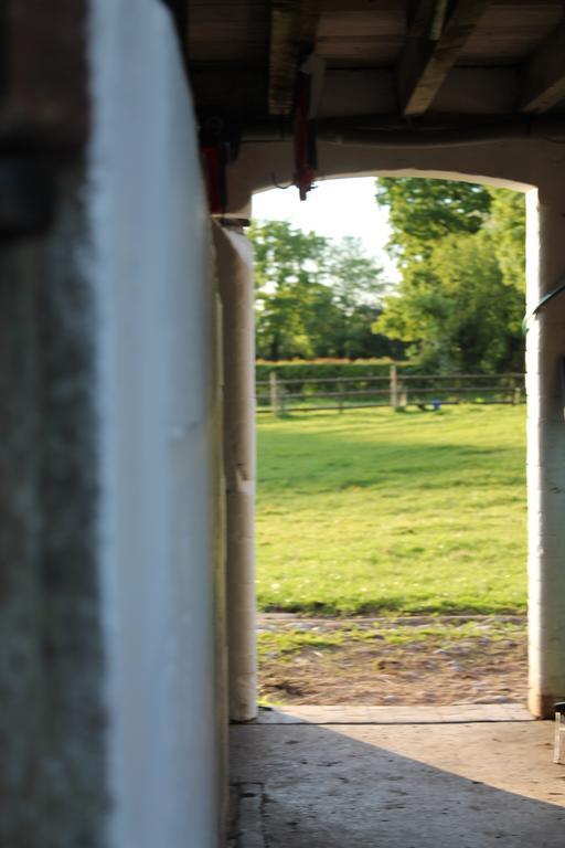 The Jockey Room Hideaway Spurstow المظهر الخارجي الصورة