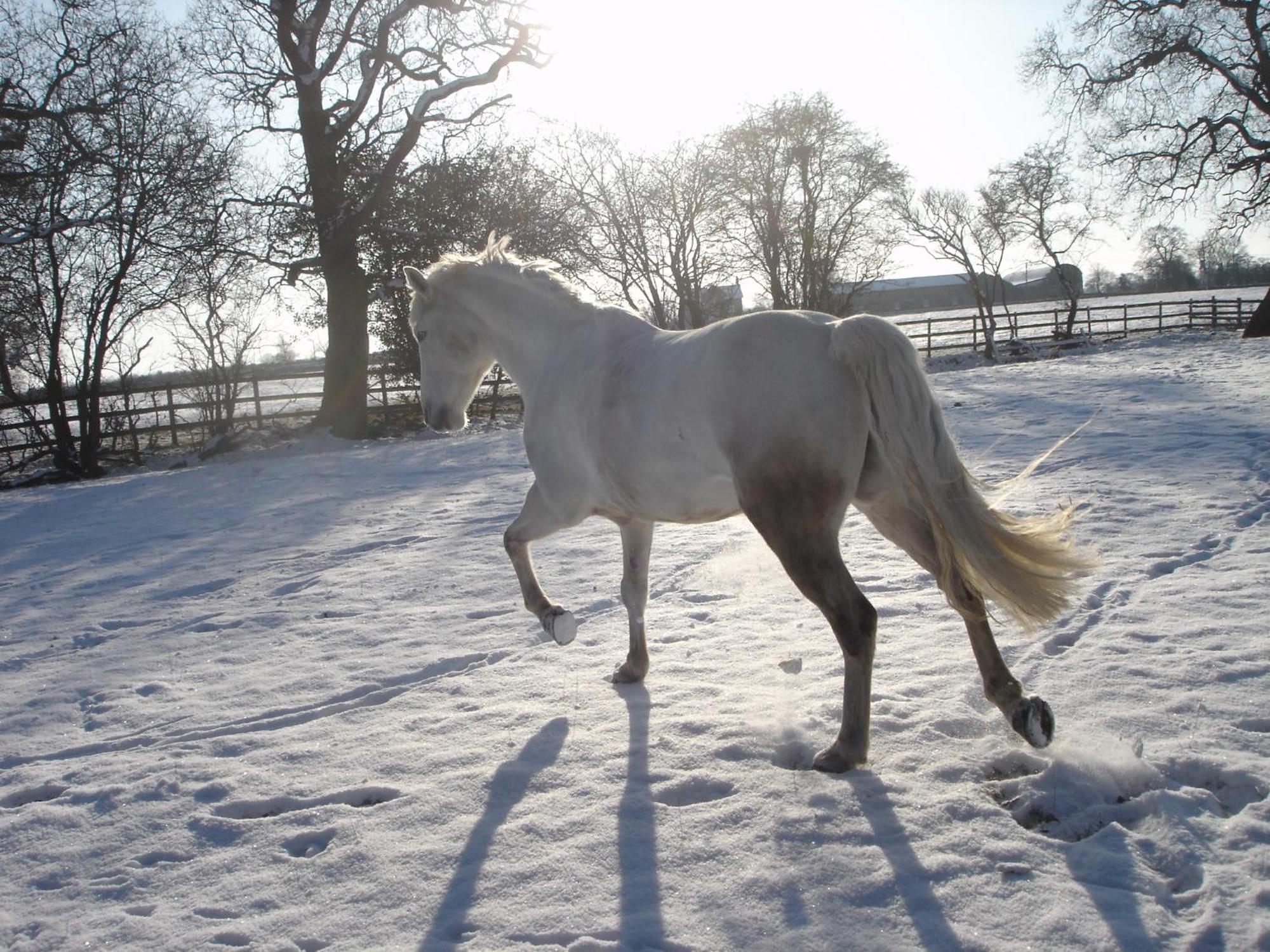 The Jockey Room Hideaway Spurstow المظهر الخارجي الصورة