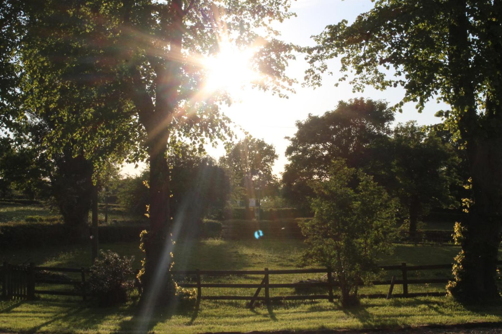 The Jockey Room Hideaway Spurstow المظهر الخارجي الصورة