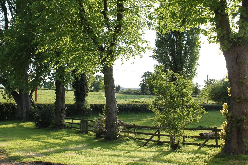 The Jockey Room Hideaway Spurstow المظهر الخارجي الصورة